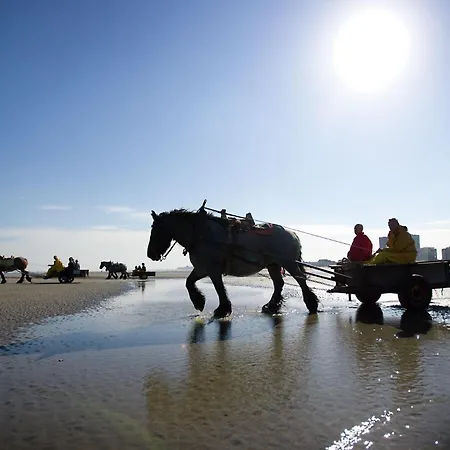 Διαμέρισμα Vitamine D