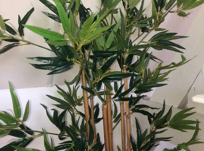 Vitamine D Διαμέρισμα Koksijde